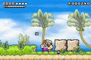 wario_land_4_347693